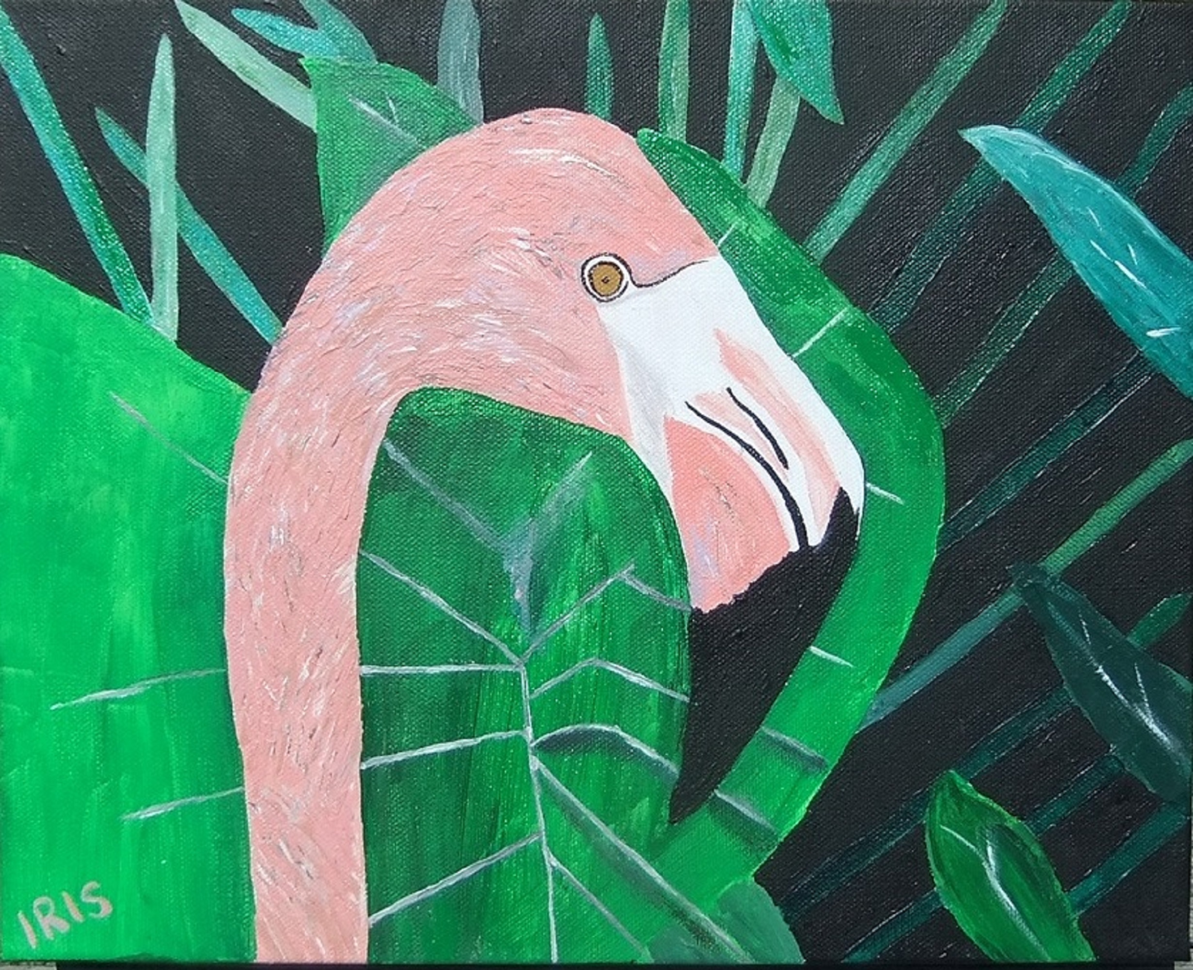 Flamingo 14 x 11