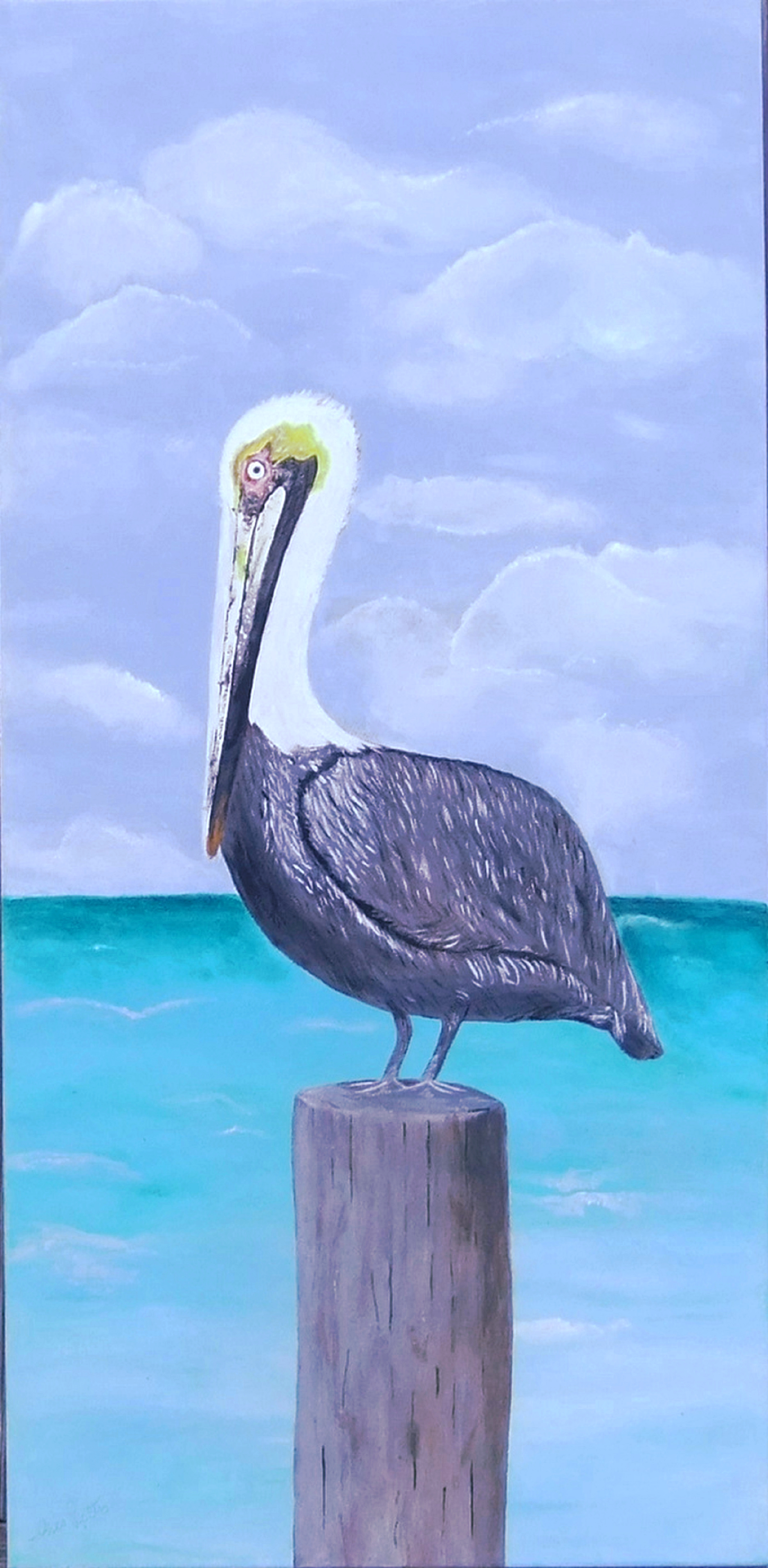 Pelican on Pole 15 x 30