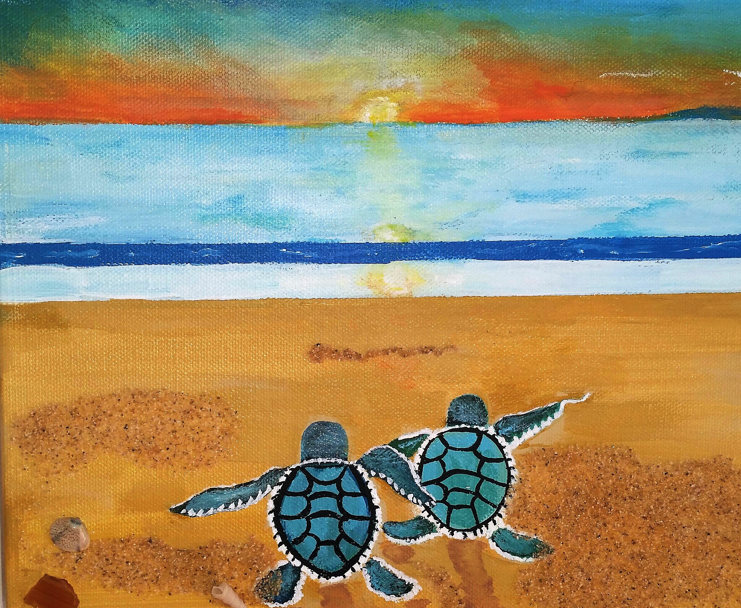 Two Turtles 12 x 9