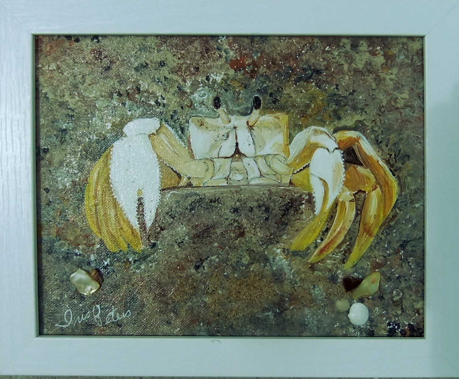ghost crab    10 x 8