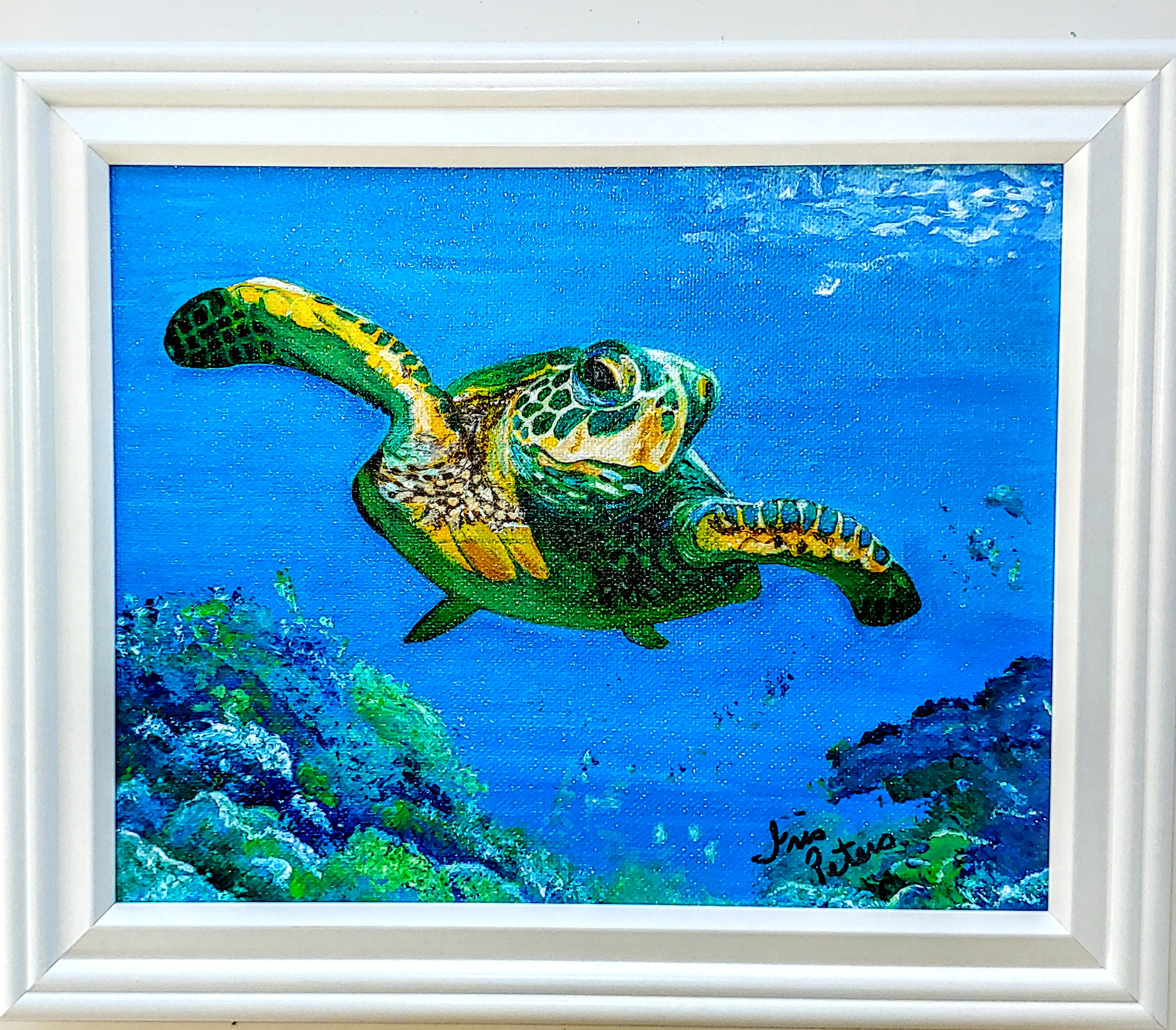 small turtle     10 x 8